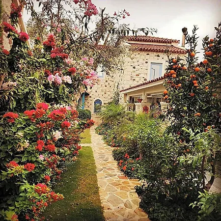 On Alacati