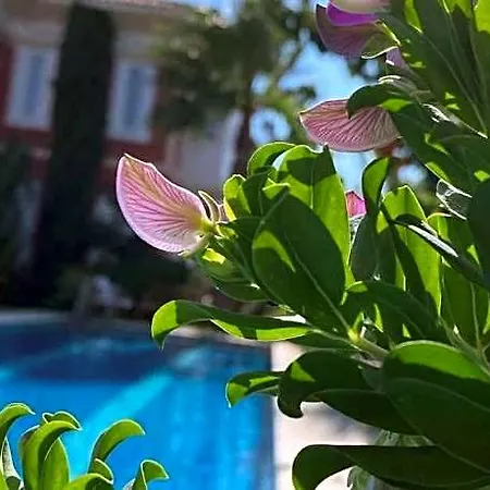 فندق On Alacati 4*